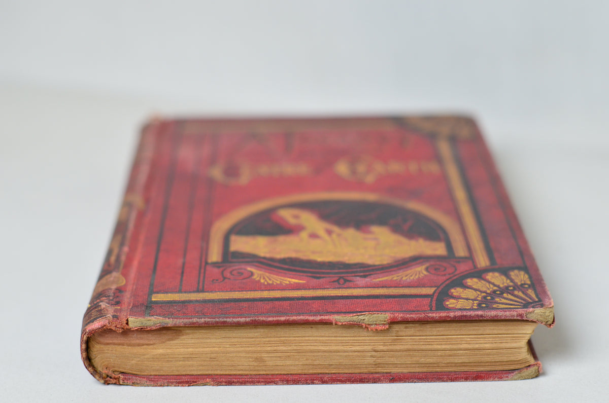 Early Edition A Journey to the Centre of the Earth by Jules Verne circa 1874