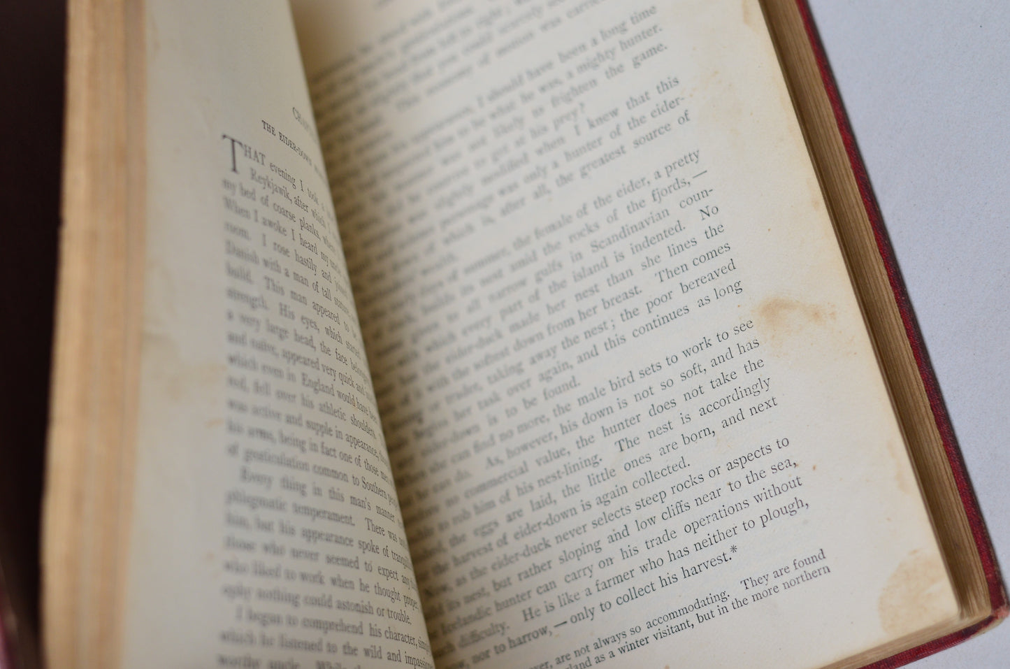 Early Edition A Journey to the Centre of the Earth by Jules Verne circa 1874